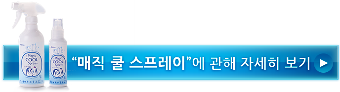 "매직 쿨 스프레이"에 관해 자세히 보기